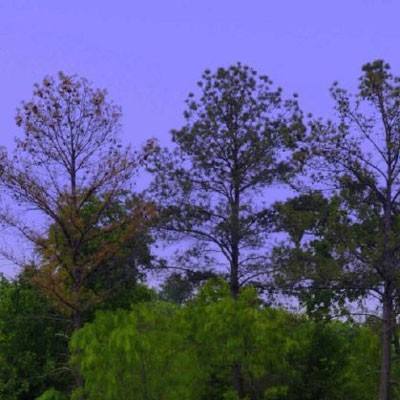 星空线上官网app下载