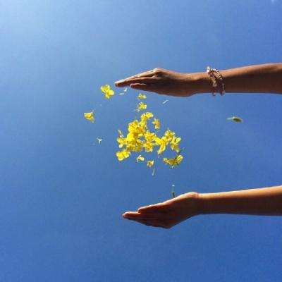 澳门天天免费资料大全下载手机app下载