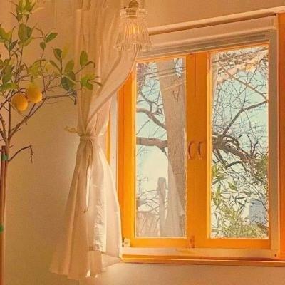 凤凰娱乐彩票官方版app网址