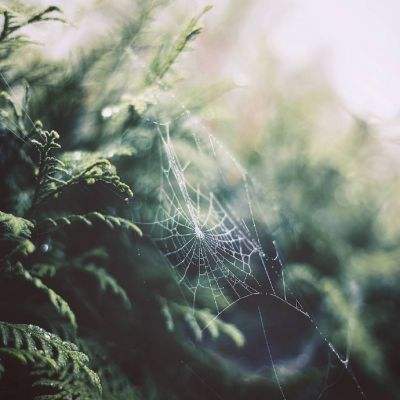 北单体彩网官网