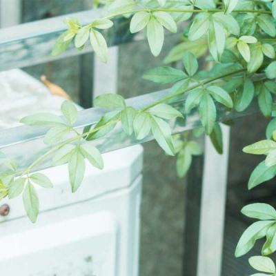 大发彩票app下载手机版截图