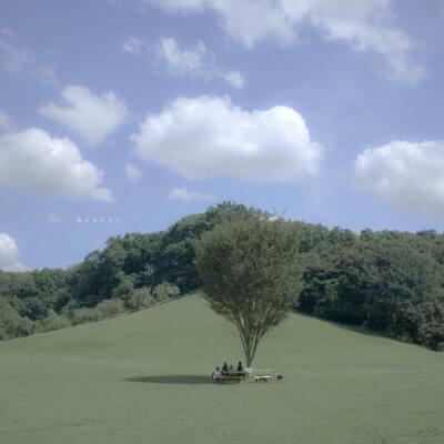 威斯尼斯wns888入